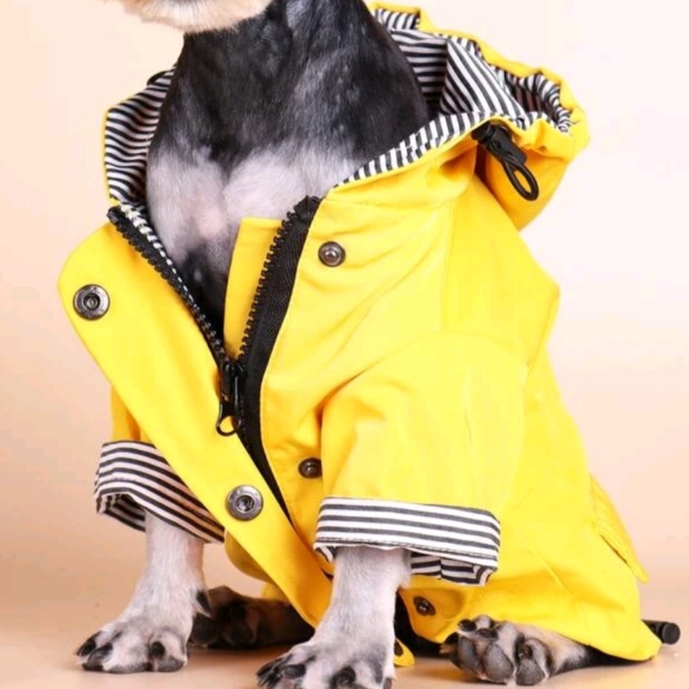 Dog Raincoat size 5XL